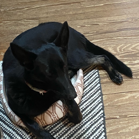 Meet your Posher, Kelli-beth - Picture 9 of 9